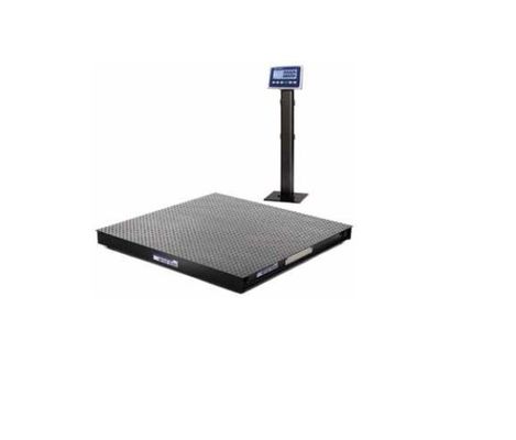 PFA261 সি এমটি ₹ 5,000 পাউন্ড ক্ষমতা, 48x48 ইঞ্চি স্টেইনলেস স্টীল প্ল্যাটফর্ম, IND236 সূচক