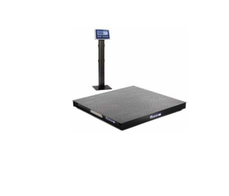 PFA261 সি এমটি ₹ 5,000 পাউন্ড ক্ষমতা, 48x48 ইঞ্চি স্টেইনলেস স্টীল প্ল্যাটফর্ম, IND236 সূচক