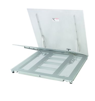 শিল্পোত্তোলন ফ্লোর স্কেল PFA779lift-DS300A - সহজ রক্ষণাবেক্ষণ অ্যাক্সেস সহ টেকসই প্ল্যাটফর্ম
